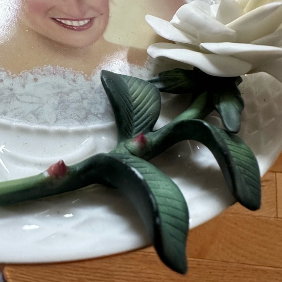 A tribute to Diana Limited Edition Plate - Picture 4 of 4